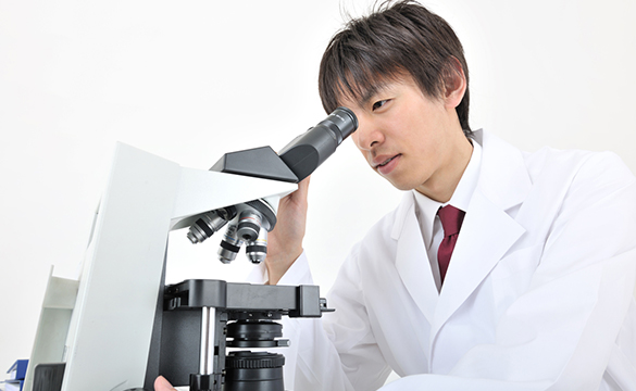 マルチ薬局,青森県,平川市,本町,北柳田,弘南鉄道, 平賀駅,調剤薬局,処方せん,ドラッグストア